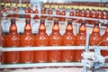 Plastic bottles with beer or carbonated beverage moving on conveyor Royalty Free Stock Photo