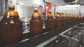 Plastic bottles for beer or carbonated beverage moving on conveyor. Shallow DOF. Selective focus. Royalty Free Stock Photo