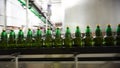 Plastic bottles for beer or carbonated beverage moving on conveyor. Shallow DOF. Selective focus. Royalty Free Stock Photo