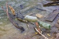 Plastic bottles and garbage waste on the shore 5