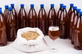 Plastic bottles with home made craft beer, bag of light malt on a wooden table on white background. Craft beer brewing from