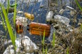 Plastic bottles in the lake. Environmental pollution. Ecological catastrophy.