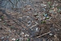 plastic bottles and other rubbish in river water Royalty Free Stock Photo