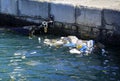 Plastic bottles and other trash on sea port Royalty Free Stock Photo