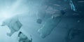 Plastic bottles and plastic bags floating underwater in the ocean, environment pollution, garbage or waste concept Royalty Free Stock Photo