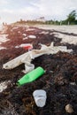 Plastic Bottles Pollution and Seaweeds on Sandy Caribbean Beach Royalty Free Stock Photo