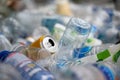 Plastic bottles in the recycling bin, waste management concept, stacked in bulk Royalty Free Stock Photo