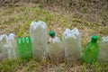 Plastic bottles. A row of cut old dirty plastic bottles on the dried grass. Environmental pollution concept. Ecological problem. Royalty Free Stock Photo