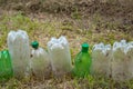 Plastic bottles. A row of used cut dirty plastic bottles on dried grass. Environmental pollution concept. Ecological problem. Royalty Free Stock Photo