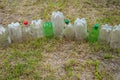 Plastic bottles. A row of used, cut, dirty plastic bottles lie on the dried grass. Environmental pollution concept. Ecological Royalty Free Stock Photo