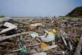 Plastic bottles and trash in drift wood on ocean beach Royalty Free Stock Photo