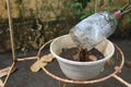 plastic bowl abandoned in a vase with stagnant water inside. close up view. mosquitoes in potential breeding ground