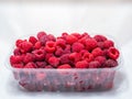 Plastic bowl of ripe red raspberries on a white background Royalty Free Stock Photo