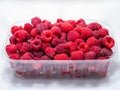 Plastic bowl of ripe red raspberries on a white background Royalty Free Stock Photo