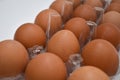 Plastic box of brown eggs Royalty Free Stock Photo