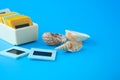 A plastic box with vintage slides on a pale blue background. Next to the slides are sea shells. Copy space Royalty Free Stock Photo