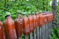 Plastic brown beer bottles hanging on a fence close-up perspective.