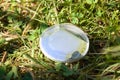 Plastic cap on grass closeup view polluting the nature Royalty Free Stock Photo