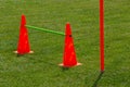 Plastic chips and cone for football training. Sports playground with markings on an artificial lawn on a soccer field Royalty Free Stock Photo