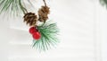 Plastic christmas decor white background. Empty space for your text Royalty Free Stock Photo