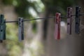 Plastic clips to hang freshly washed clothes Royalty Free Stock Photo