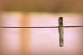 Plastic clothespin on wet wire after rain in the backyard Royalty Free Stock Photo