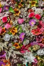 Plastic colourful flowers. Background texture Royalty Free Stock Photo