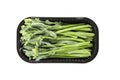 Plastic container with broccolini isolated on white background Royalty Free Stock Photo