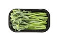 Plastic container with broccolini isolated on white background Royalty Free Stock Photo