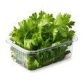 Plastic Container with Fresh Dill, Isolated on White Background. Generative ai