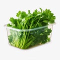 Plastic Container with Fresh Dill, Isolated on White Background. Generative ai
