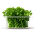 Plastic Container with Fresh Dill, Isolated on White Background. Generative ai