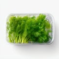 Plastic Container with Fresh Dill, Isolated on White Background. Generative ai