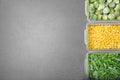 Plastic containers with frozen vegetables on grey background, top view Royalty Free Stock Photo