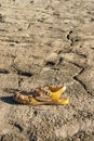 plastic crab sandal on cracked earth due to lack of water climate change drought Royalty Free Stock Photo