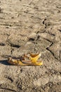 plastic crab sandal on cracked ground due to lack of water climate change drought Extremadura Spain Royalty Free Stock Photo