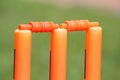 Plastic cricket wickets