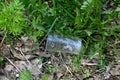 Plastic cup in the grass