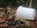 Plastic cup and the pollution on mangrove