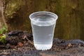 Plastic cup with water on a wooden log Royalty Free Stock Photo