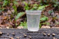Plastic cup with water on a wooden log Royalty Free Stock Photo