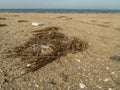 Plastic debris bottlecaps styrofoam garbage on beach Royalty Free Stock Photo