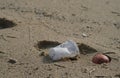 Plastic debris pollution discarded on sea coast ecosystem,cigarette butts waste,nature contamination Royalty Free Stock Photo