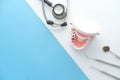 plastic dental teeth model on color background Royalty Free Stock Photo