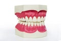 Plastic dentures