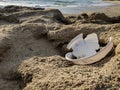 Plastic dish discarded waste on sea plants ecosystem,ocean trash contaminated habitat