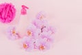 Plastic dispenser bottle with cosmetic soap, shampoo or shower gel, pink sponge and purple orchid flowers on pink background. Spa Royalty Free Stock Photo