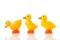 Plastic ducks Royalty Free Stock Photo