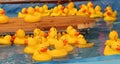 Plastic Ducks. Royalty Free Stock Photo
