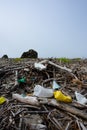 Environmental pollution in drift wood debris on ocean beach Royalty Free Stock Photo